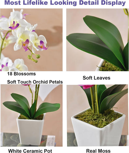 15" Silk Phalaenopsis Orchid in Square Pot, Orange Flower Plant Arrangement