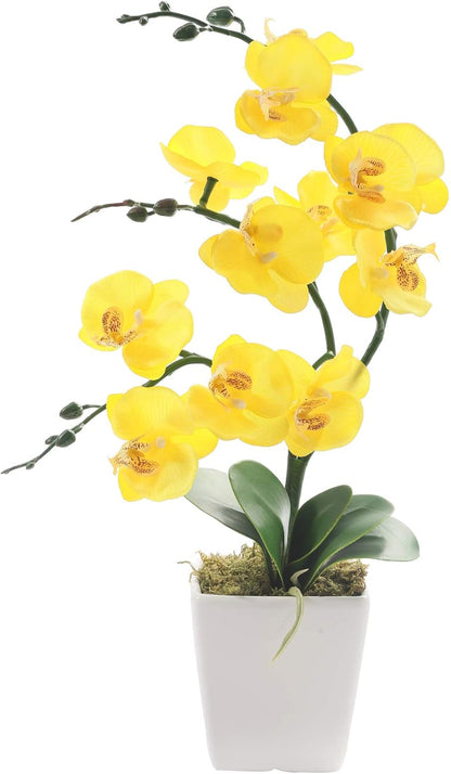 15" Silk Phalaenopsis Orchid in Square Pot, Orange Flower Plant Arrangement