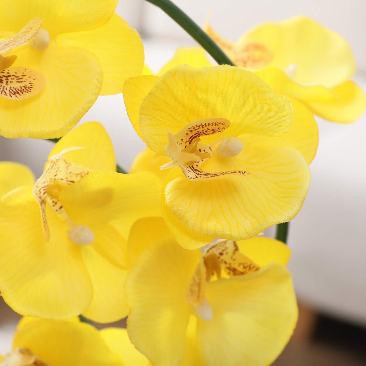 15" Silk Phalaenopsis Orchid in Square Pot, Orange Flower Plant Arrangement