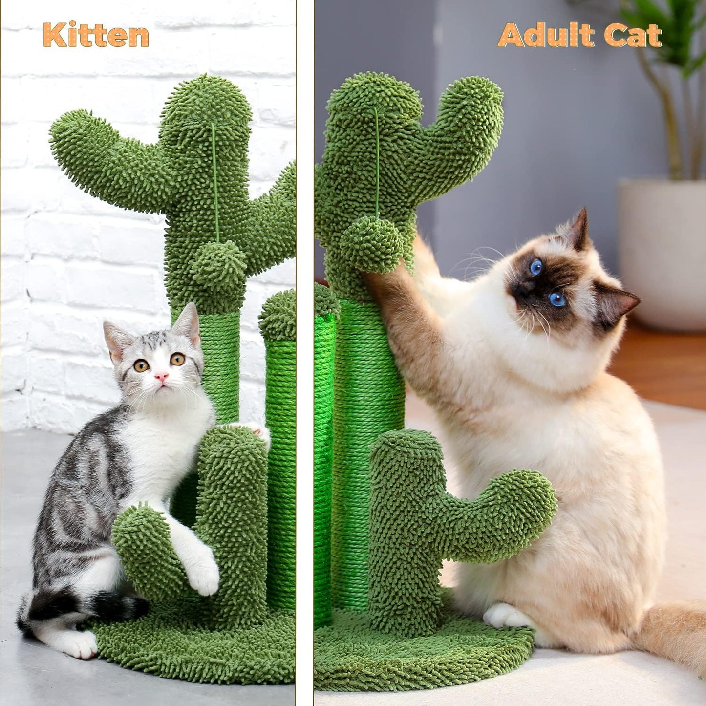Cactus Cat Scratching Post 35”Cat Scratcher with Toy Ball | Cactus Cat tree with 3 Sisal & Carpet Scratching Posts, Soft Carpet Base & Top, Interactive Ball for Adult and Indoor Cats