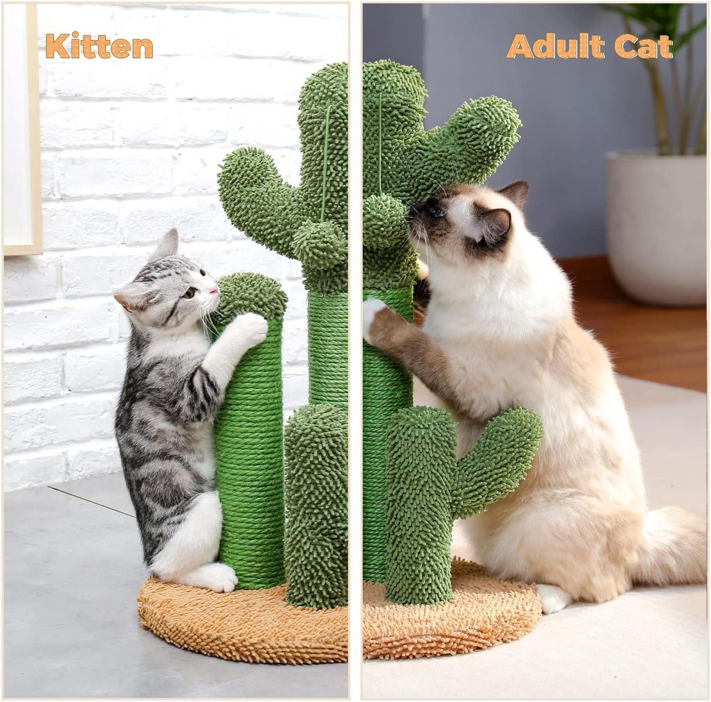 Cactus Cat Scratching Post 35”Cat Scratcher with Toy Ball | Cactus Cat tree with 3 Sisal & Carpet Scratching Posts, Soft Carpet Base & Top, Interactive Ball for Adult and Indoor Cats