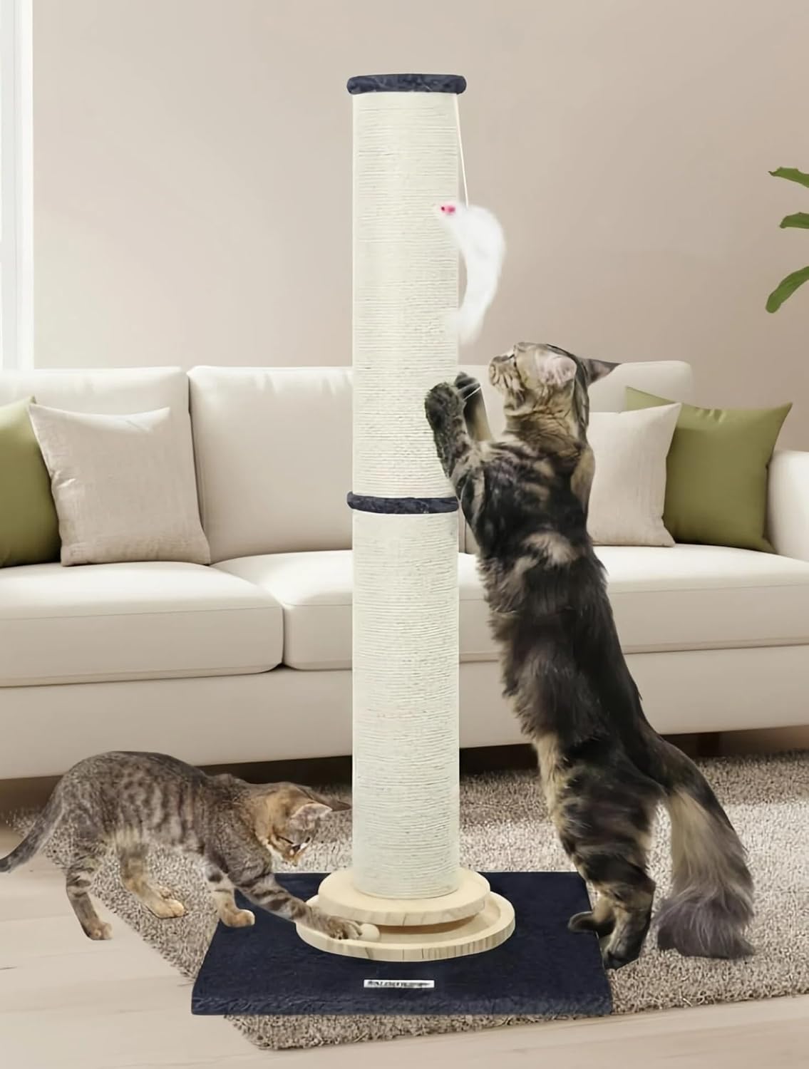 Extra Thick Cactus Scratching Posts for Indoor Large Cats, SC37