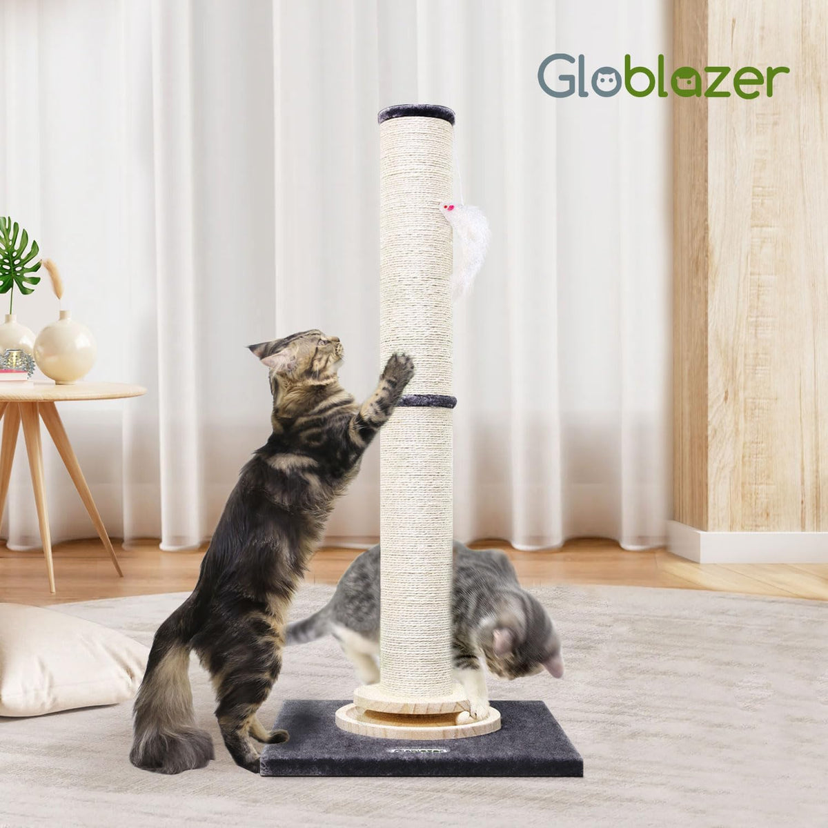 Extra Thick Cactus Scratching Posts for Indoor Large Cats, SC37