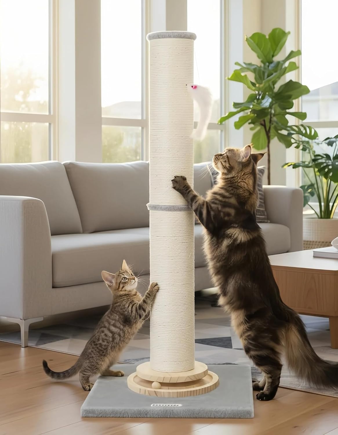 Extra Thick Cactus Scratching Posts for Indoor Large Cats, SC37