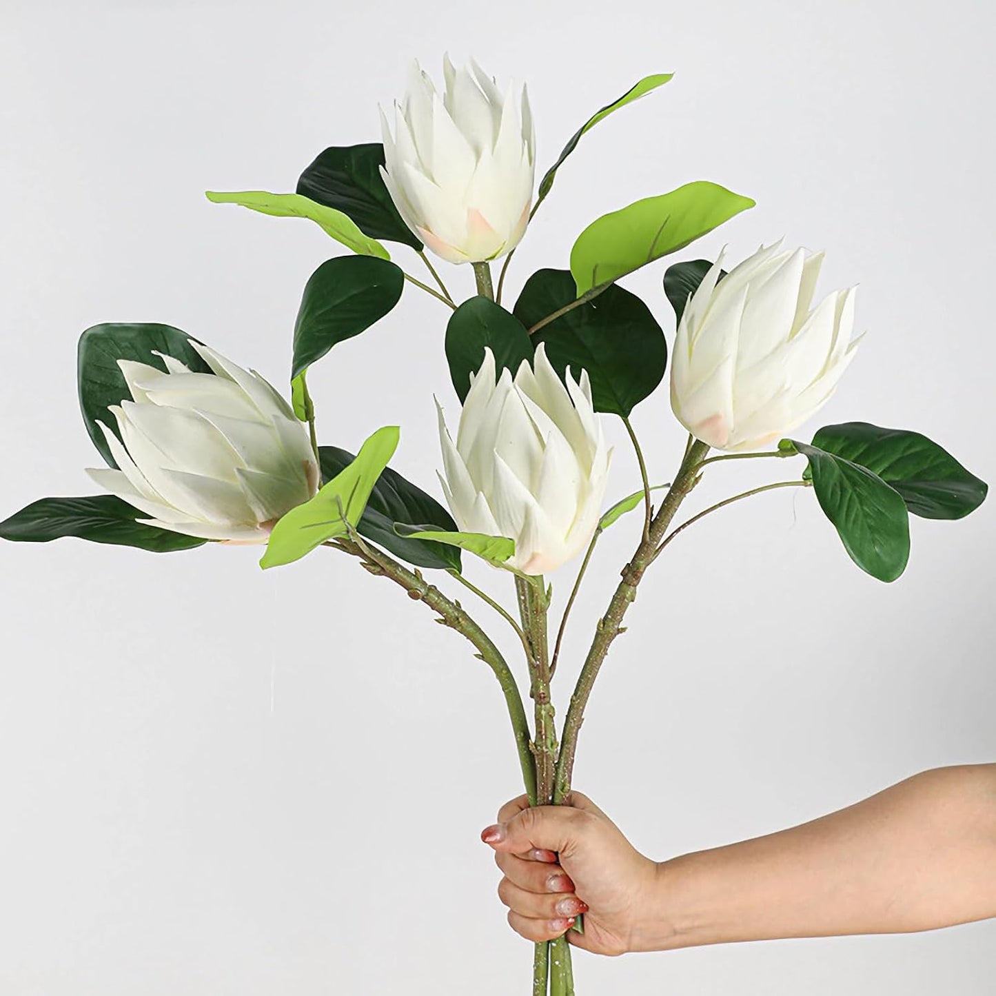 2pcs Artificial King Protea Flowers 20" Fake Tropical White Protea Cynaroides for Vase Bouquets Floral Arrangement Home Office Wedding Decoration.(White)