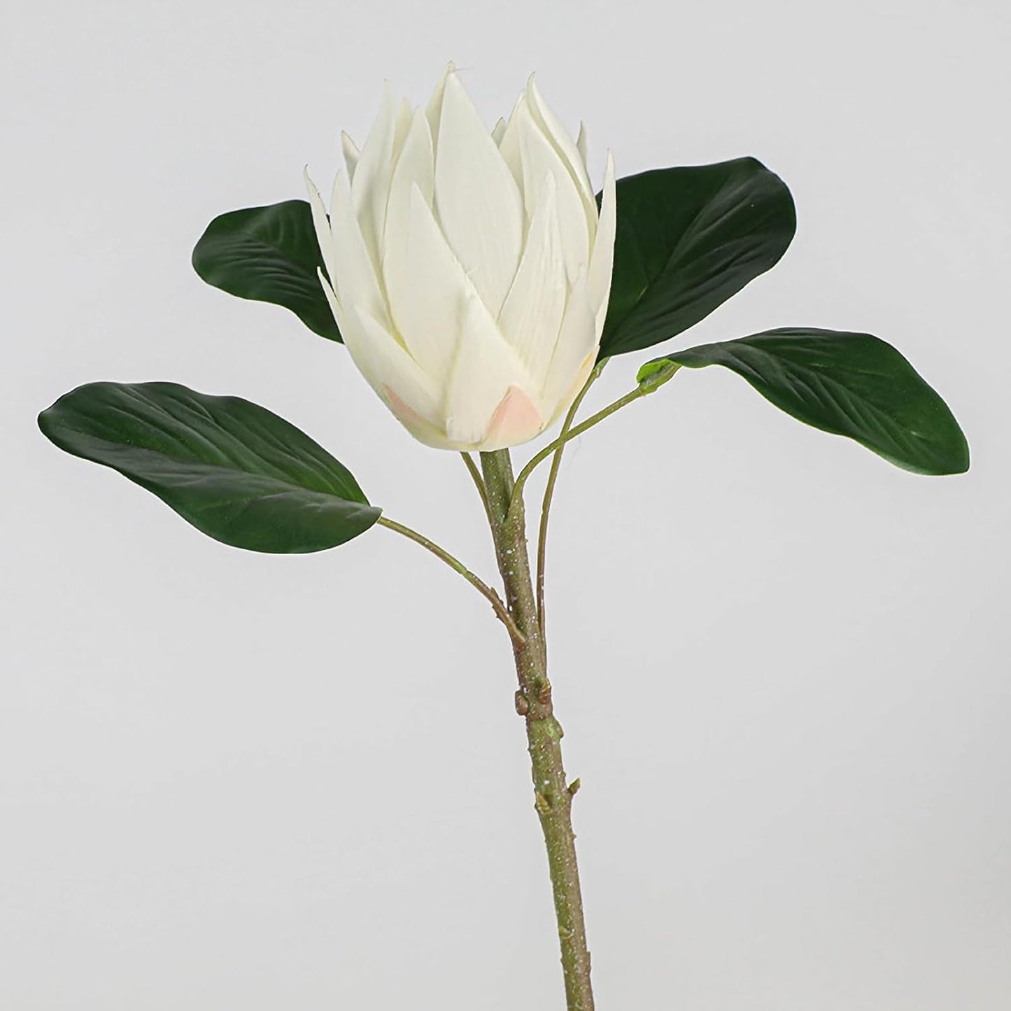 2pcs Artificial King Protea Flowers 20" Fake Tropical White Protea Cynaroides for Vase Bouquets Floral Arrangement Home Office Wedding Decoration.(White)