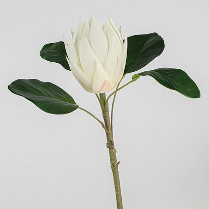 2pcs Artificial King Protea Flowers 20" Fake Tropical White Protea Cynaroides for Vase Bouquets Floral Arrangement Home Office Wedding Decoration.(White)