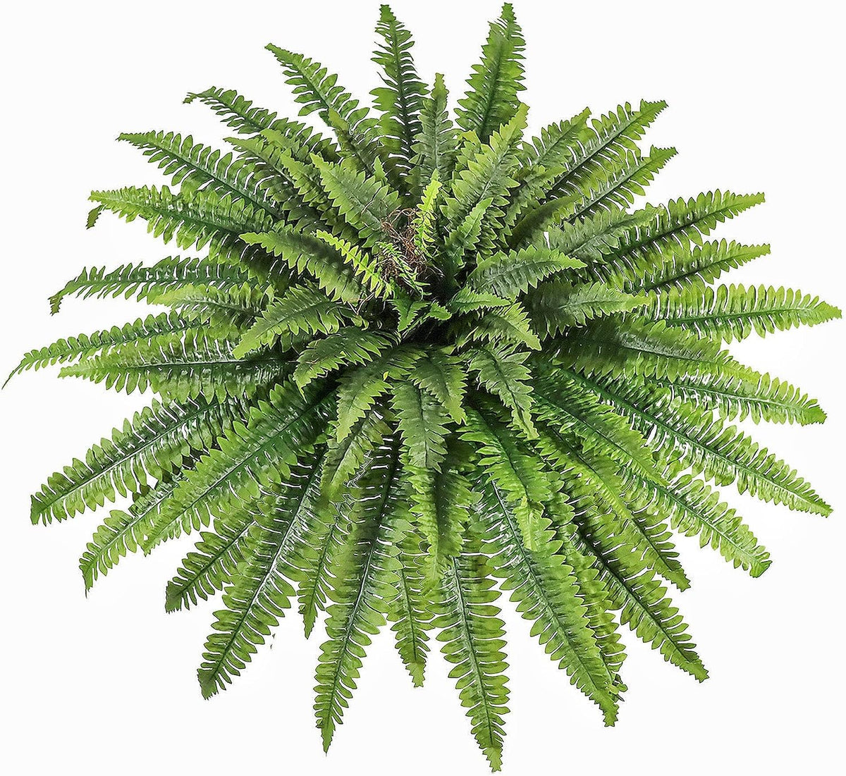 Artificial Ferns for Outdoors & Indoors, 51in Large Fake Ferns Plants