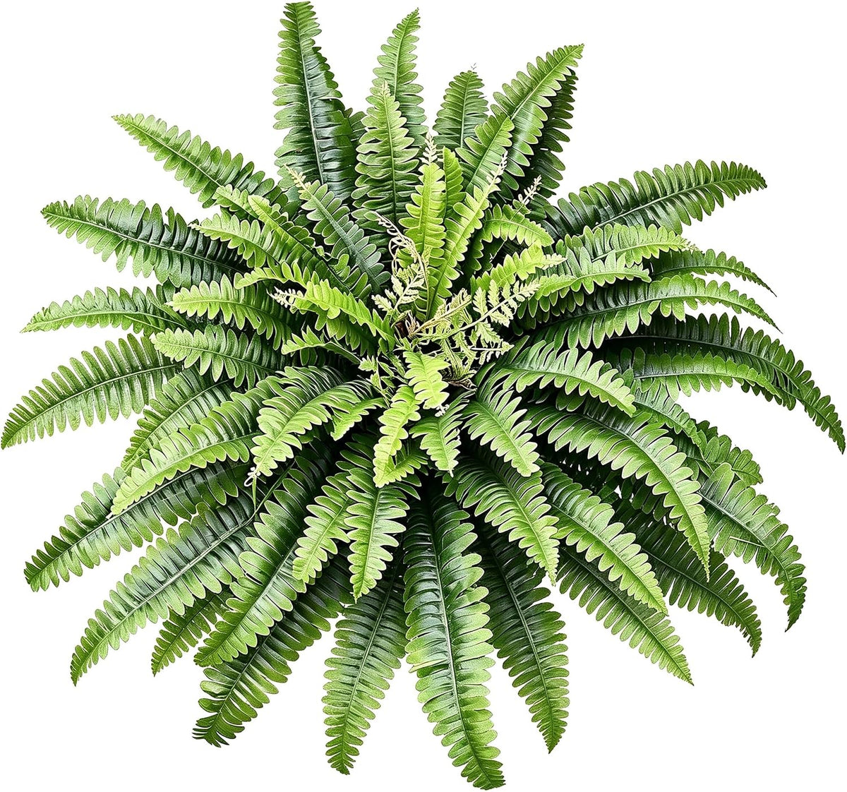 Artificial Ferns for Outdoors & Indoors, 51in Large Fake Ferns Plants