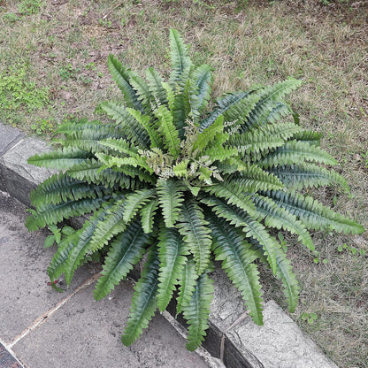 Artificial Ferns for Outdoors & Indoors, 51in Large Fake Ferns Plants