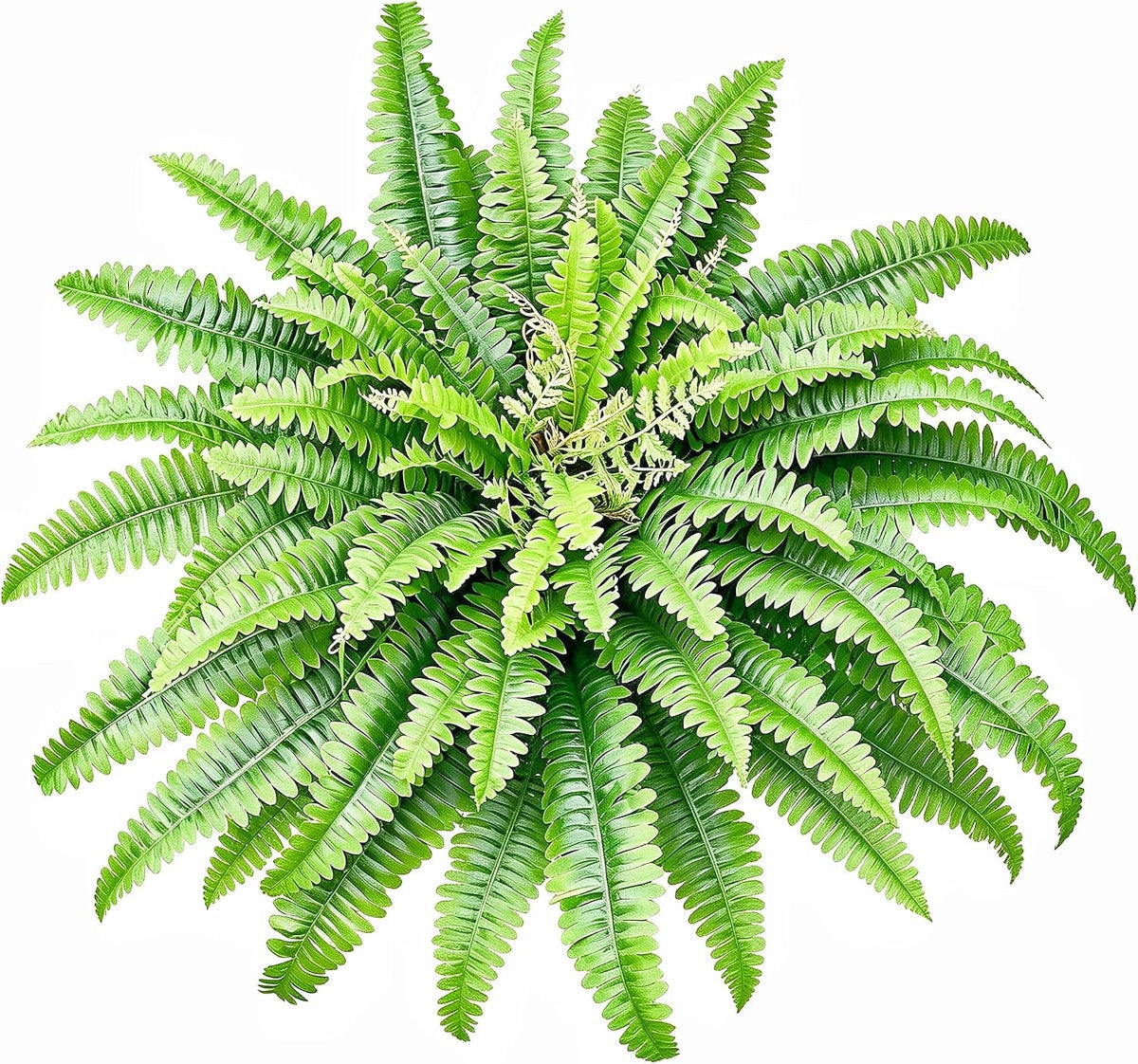 Artificial Ferns for Outdoors & Indoors, 51in Large Fake Ferns Plants