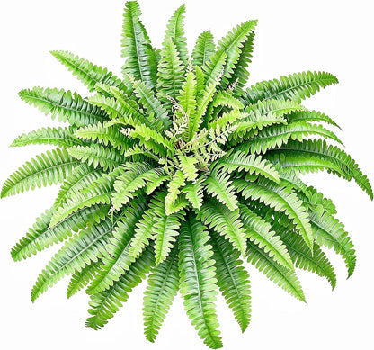 Artificial Ferns for Outdoors & Indoors, 51in Large Fake Ferns Plants