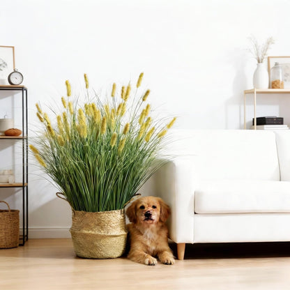 24 inches Extra Lush Artificial Reed Grass (6pcs), Luxury Fake Plants with 10 Heads Dogtail Flower, Luxury Faux Greenery with Dogtail for Garden Porch and Home Decor (Green-10)