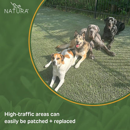 PowerRun 10376807 Outdoor Artificial Grass for Dogs, Turf Grass Patch Blends in with Natural Grass, Keeps Paws and Homes Clean, 1.5 ft. x 15 ft., Green