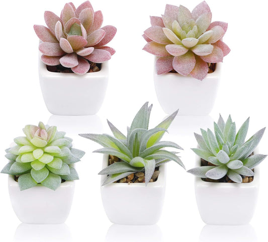 5pcs Artificial Succulent Plants, Small Fake Desk Plants Mini Succulents Indoor for Shelf Living Room Bedroom Windowsills Office Home Decoration (Include White Ceramic Pots)