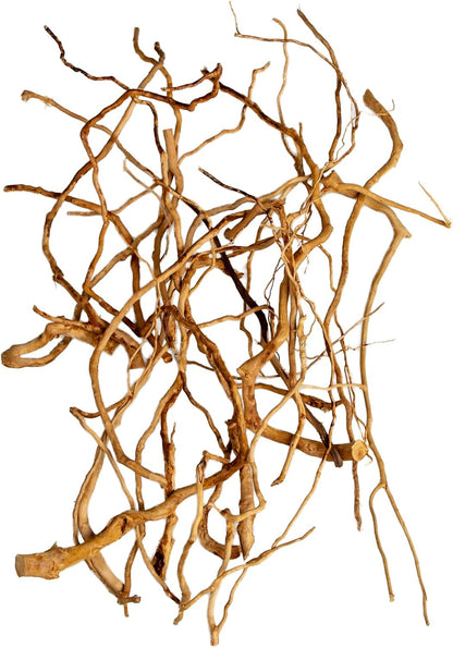 Natural Aquarium Driftwood, [170g] ( 20–40 cm /8–16 in) - Unique Root/Spider Wood Branches for Aquascaping, Planted Tanks & Terrariums, Fish & Plants Decoration, Each Piece One-of-a-Kind (Roots Only)
