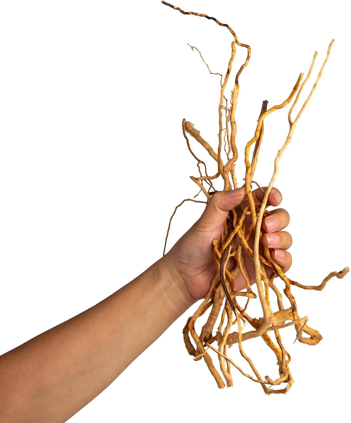 Natural Aquarium Driftwood, [170g] ( 20–40 cm /8–16 in) - Unique Root/Spider Wood Branches for Aquascaping, Planted Tanks & Terrariums, Fish & Plants Decoration, Each Piece One-of-a-Kind (Roots Only)