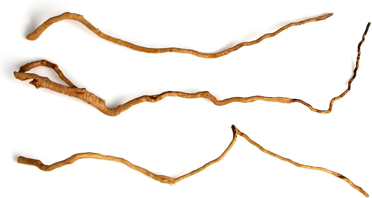 Natural Aquarium Driftwood, [170g] ( 20–40 cm /8–16 in) - Unique Root/Spider Wood Branches for Aquascaping, Planted Tanks & Terrariums, Fish & Plants Decoration, Each Piece One-of-a-Kind (Roots Only)