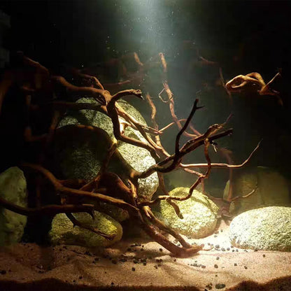 Natural Aquarium Driftwood, [170g] ( 20–40 cm /8–16 in) - Unique Root/Spider Wood Branches for Aquascaping, Planted Tanks & Terrariums, Fish & Plants Decoration, Each Piece One-of-a-Kind (Roots Only)