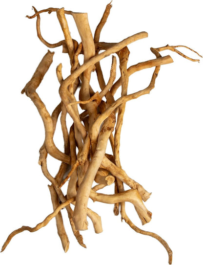 Natural Aquarium Driftwood, [170g] ( 20–40 cm /8–16 in) - Unique Root/Spider Wood Branches for Aquascaping, Planted Tanks & Terrariums, Fish & Plants Decoration, Each Piece One-of-a-Kind (Roots Only)