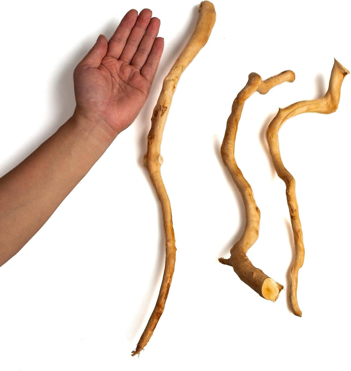 Natural Aquarium Driftwood, [170g] ( 20–40 cm /8–16 in) - Unique Root/Spider Wood Branches for Aquascaping, Planted Tanks & Terrariums, Fish & Plants Decoration, Each Piece One-of-a-Kind (Roots Only)