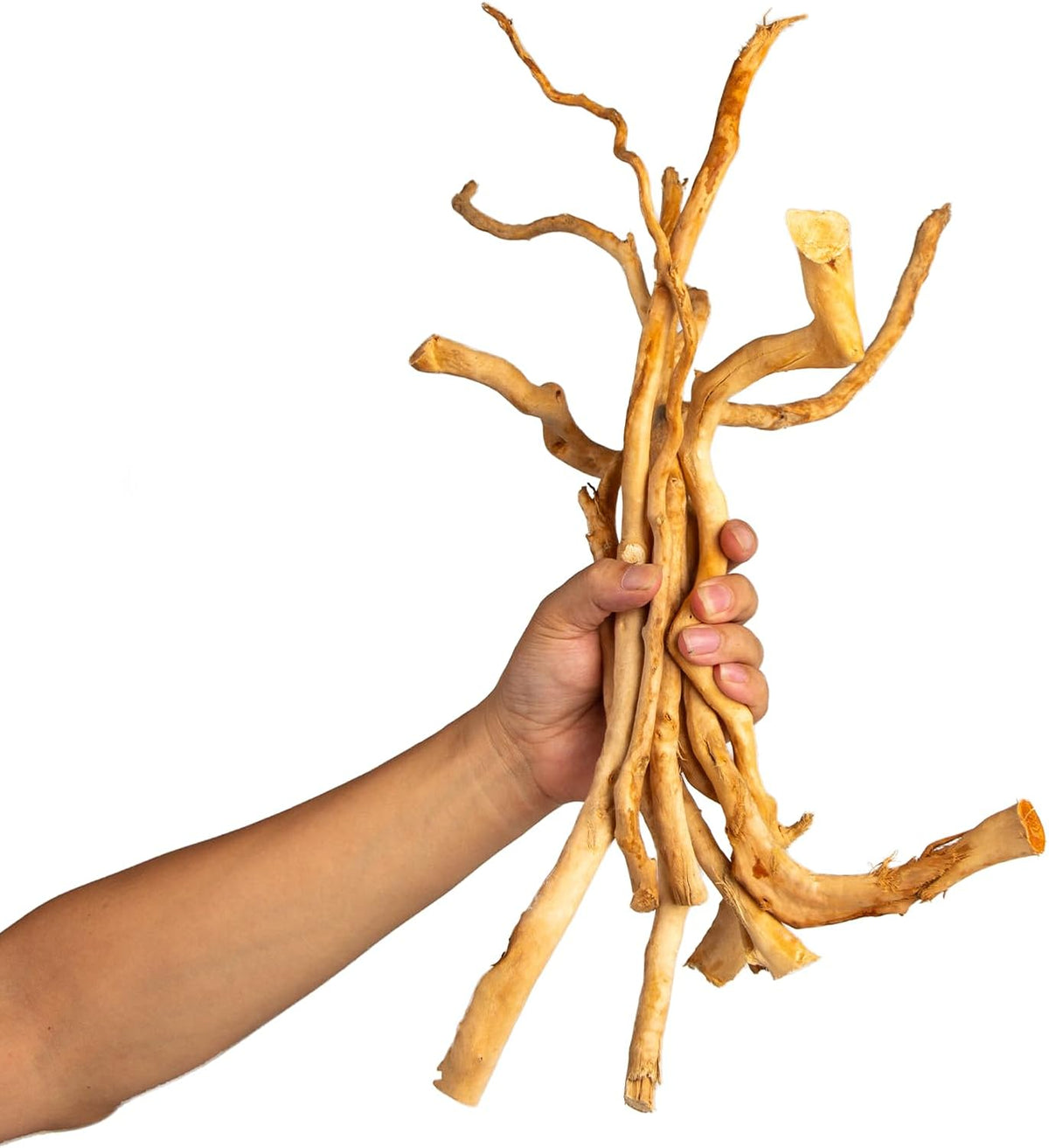 Natural Aquarium Driftwood, [170g] ( 20–40 cm /8–16 in) - Unique Root/Spider Wood Branches for Aquascaping, Planted Tanks & Terrariums, Fish & Plants Decoration, Each Piece One-of-a-Kind (Roots Only)