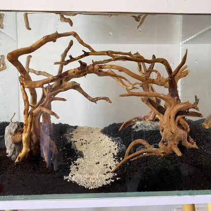 Natural Aquarium Driftwood, [170g] ( 20–40 cm /8–16 in) - Unique Root/Spider Wood Branches for Aquascaping, Planted Tanks & Terrariums, Fish & Plants Decoration, Each Piece One-of-a-Kind (Roots Only)