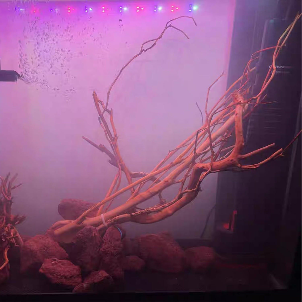 Natural Aquarium Driftwood, [170g] ( 20–40 cm /8–16 in) - Unique Root/Spider Wood Branches for Aquascaping, Planted Tanks & Terrariums, Fish & Plants Decoration, Each Piece One-of-a-Kind (Roots Only)