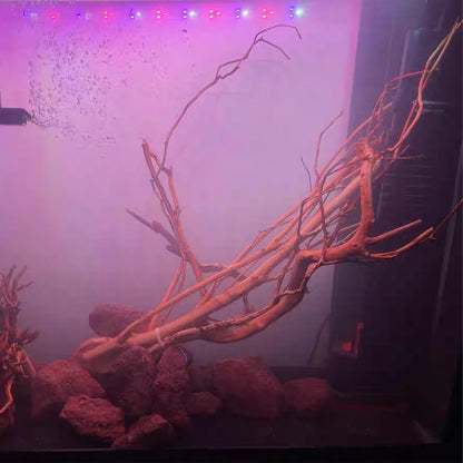 Natural Aquarium Driftwood, [170g] ( 20–40 cm /8–16 in) - Unique Root/Spider Wood Branches for Aquascaping, Planted Tanks & Terrariums, Fish & Plants Decoration, Each Piece One-of-a-Kind (Roots Only)