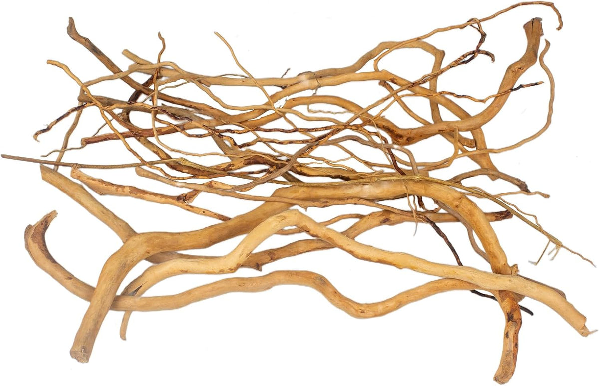 Natural Aquarium Driftwood, [170g] ( 20–40 cm /8–16 in) - Unique Root/Spider Wood Branches for Aquascaping, Planted Tanks & Terrariums, Fish & Plants Decoration, Each Piece One-of-a-Kind (Roots Only)