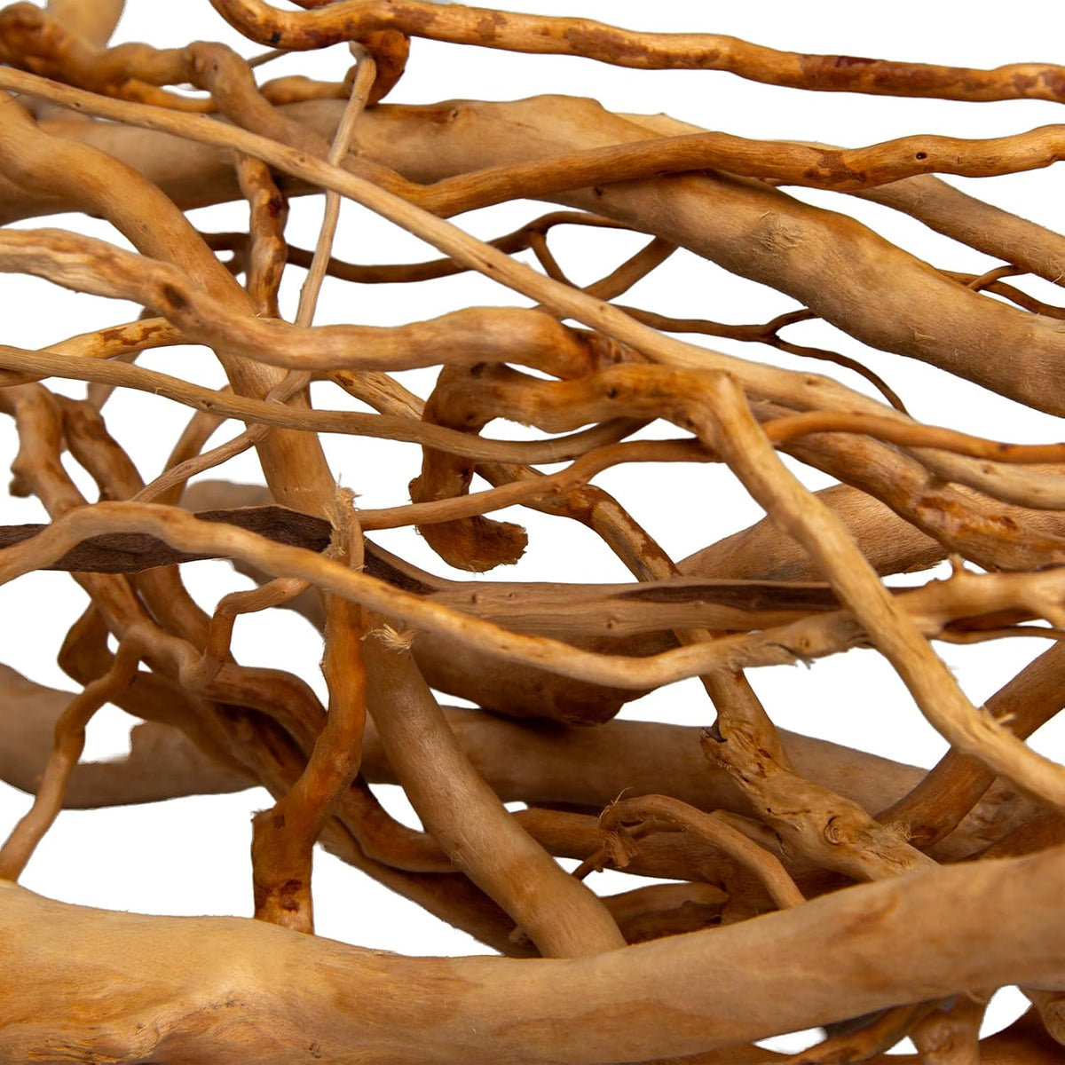 Natural Aquarium Driftwood, [170g] ( 20–40 cm /8–16 in) - Unique Root/Spider Wood Branches for Aquascaping, Planted Tanks & Terrariums, Fish & Plants Decoration, Each Piece One-of-a-Kind (Roots Only)