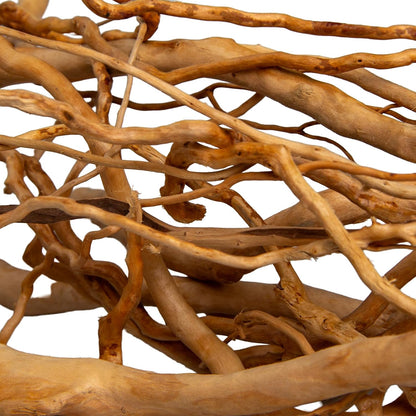 Natural Aquarium Driftwood, [170g] ( 20–40 cm /8–16 in) - Unique Root/Spider Wood Branches for Aquascaping, Planted Tanks & Terrariums, Fish & Plants Decoration, Each Piece One-of-a-Kind (Roots Only)
