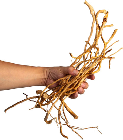 Natural Aquarium Driftwood, [170g] ( 20–40 cm /8–16 in) - Unique Root/Spider Wood Branches for Aquascaping, Planted Tanks & Terrariums, Fish & Plants Decoration, Each Piece One-of-a-Kind (Roots Only)