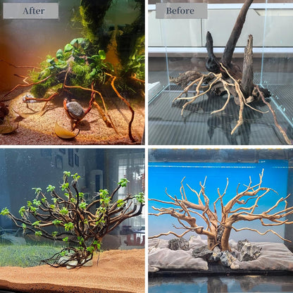 Natural Aquarium Driftwood, [170g] ( 20–40 cm /8–16 in) - Unique Root/Spider Wood Branches for Aquascaping, Planted Tanks & Terrariums, Fish & Plants Decoration, Each Piece One-of-a-Kind (Roots Only)