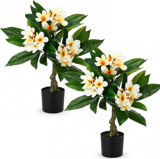 Riceshoot 2 Pack Artificial Plumeria Plants 23.62'' Fake Tropical Plumeria Flowers Tree Plants in Black Pot, Hawaiian Yellow Faux Frangipani Tree Plant for Home Office Wedding Decor