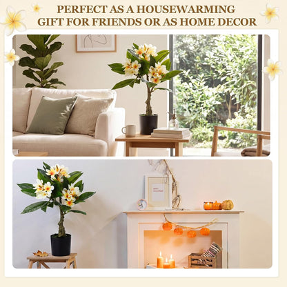 Riceshoot 2 Pack Artificial Plumeria Plants 23.62'' Fake Tropical Plumeria Flowers Tree Plants in Black Pot, Hawaiian Yellow Faux Frangipani Tree Plant for Home Office Wedding Decor