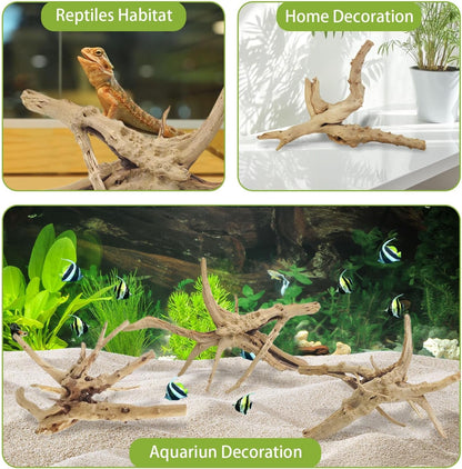 Natural Driftwood for Aquarium, 11-13 inch Reptile Branches Terrarium Wood Aquarium Trunk Driftwood Tree Fish Tank Log Decoration Pack of 2