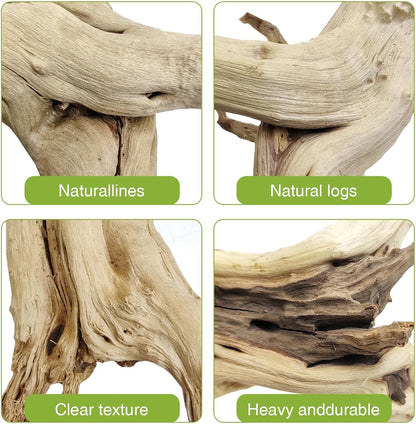 Natural Driftwood for Aquarium, 11-13 inch Reptile Branches Terrarium Wood Aquarium Trunk Driftwood Tree Fish Tank Log Decoration Pack of 2