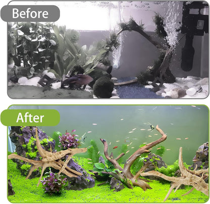 Natural Driftwood for Aquarium, 11-13 inch Reptile Branches Terrarium Wood Aquarium Trunk Driftwood Tree Fish Tank Log Decoration Pack of 2