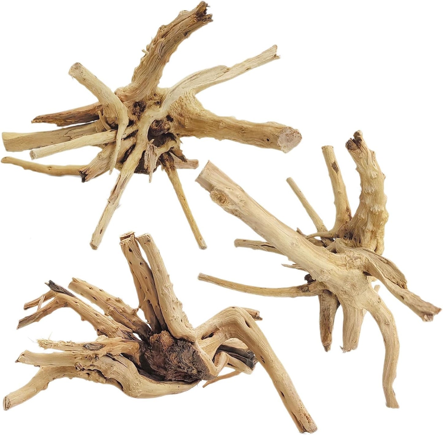 Natural Driftwood for Aquarium, 11-13 inch Reptile Branches Terrarium Wood Aquarium Trunk Driftwood Tree Fish Tank Log Decoration Pack of 2
