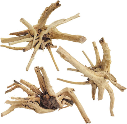 Natural Driftwood for Aquarium, 11-13 inch Reptile Branches Terrarium Wood Aquarium Trunk Driftwood Tree Fish Tank Log Decoration Pack of 2