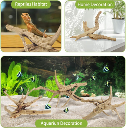 Natural Driftwood for Aquarium, 11-13 inch Reptile Branches Terrarium Wood Aquarium Trunk Driftwood Tree Fish Tank Log Decoration Pack of 2