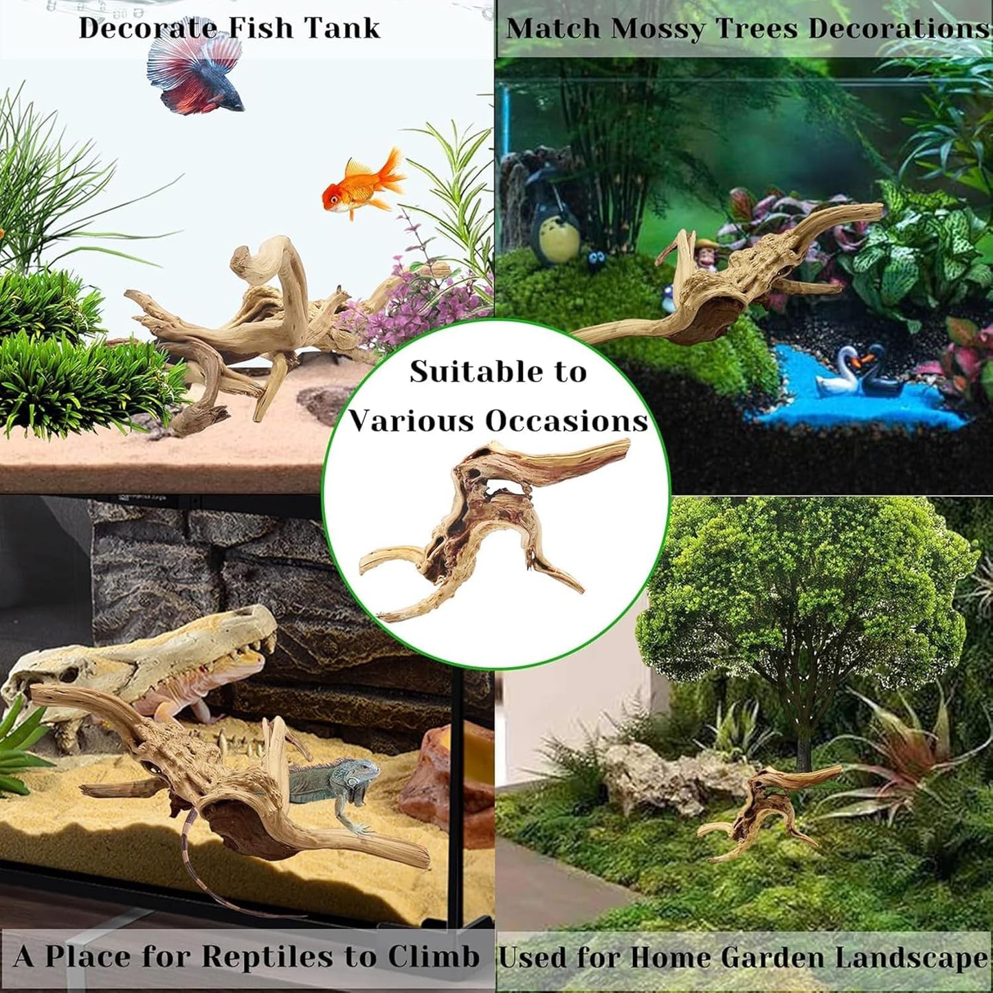 Natural Driftwood for Aquarium, 11-13 inch Reptile Branches Terrarium Wood Aquarium Trunk Driftwood Tree Fish Tank Log Decoration Pack of 2