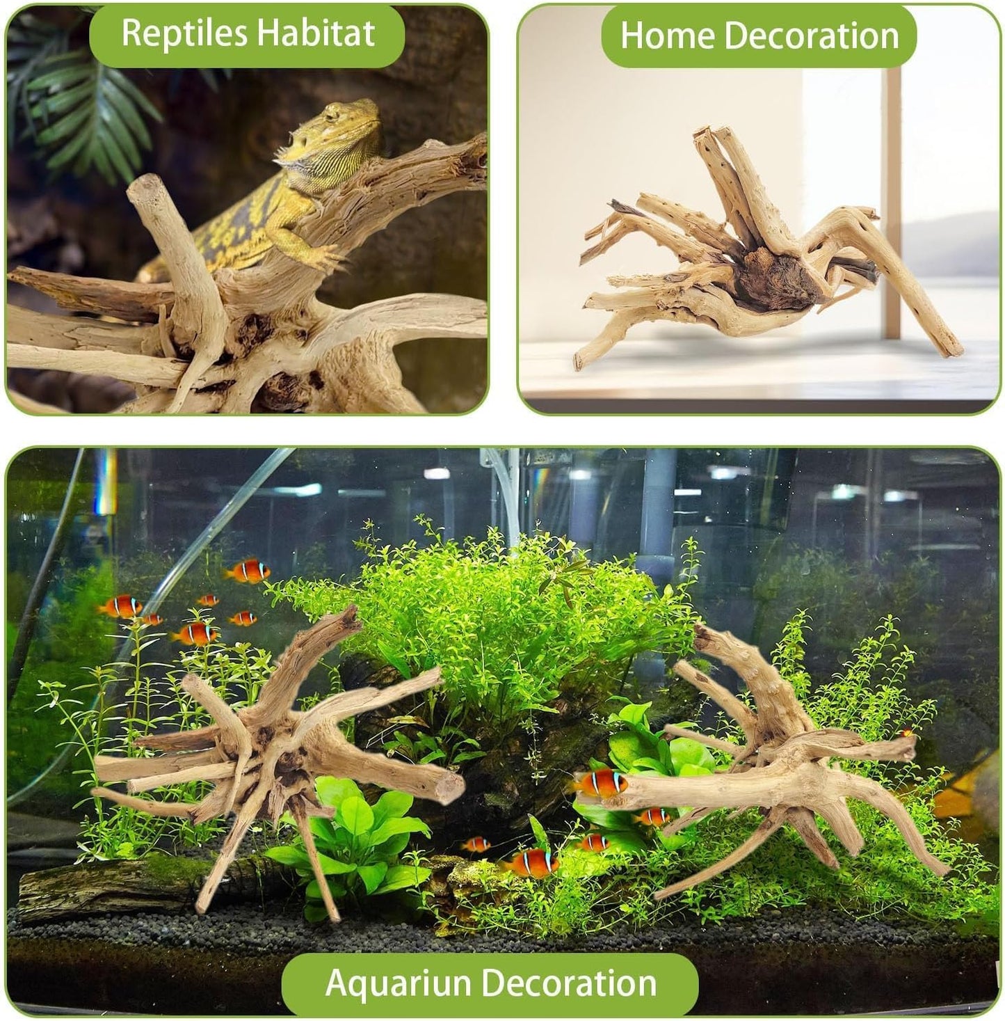 Natural Driftwood for Aquarium, 11-13 inch Reptile Branches Terrarium Wood Aquarium Trunk Driftwood Tree Fish Tank Log Decoration Pack of 2
