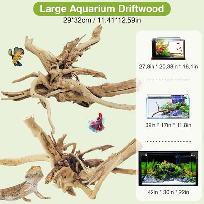 Natural Driftwood for Aquarium, 11-13 inch Reptile Branches Terrarium Wood Aquarium Trunk Driftwood Tree Fish Tank Log Decoration Pack of 2