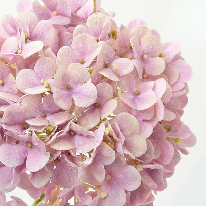 20" 4PCS Artificial Light Blue Hydrangea Flowers Large Faux Latex Real Touch Fake Hydrangeas Silk Bouquet with Leaves Stems for Family Table Office Wedding Party Arrangements