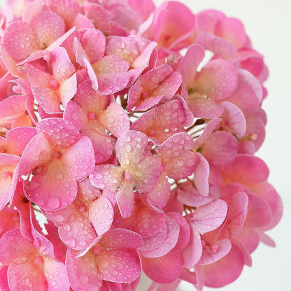 20" 4PCS Artificial Light Blue Hydrangea Flowers Large Faux Latex Real Touch Fake Hydrangeas Silk Bouquet with Leaves Stems for Family Table Office Wedding Party Arrangements