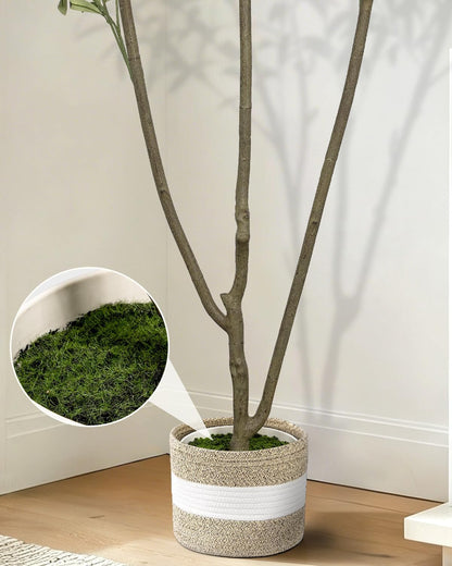 Artificial Olive Tree 6FT Faux Indoor with Planter&Cotton Basket
