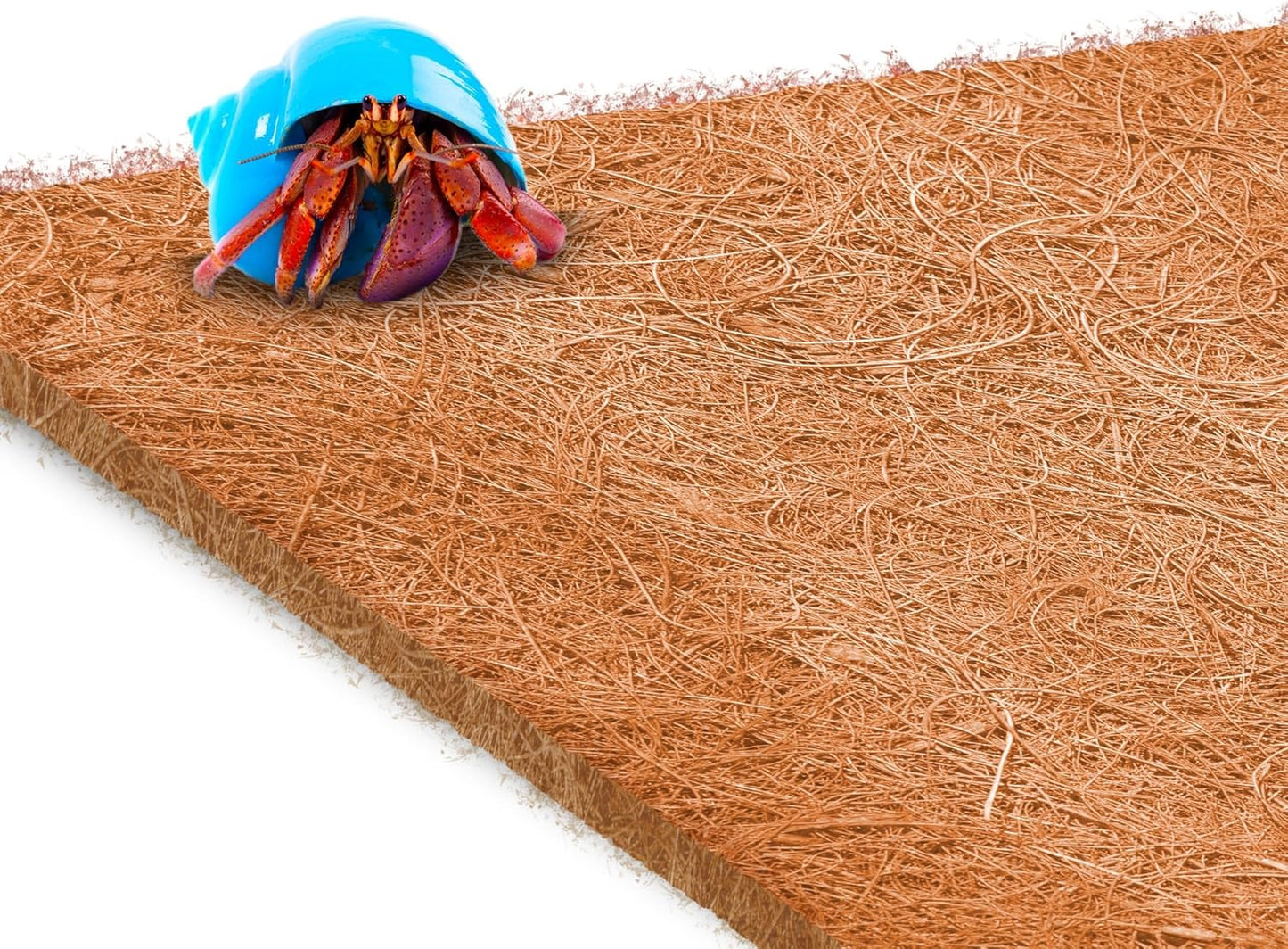 Coco Fiber Hermit Crab & Reptile Carpet, Gecko Terrarium Liner, and Floor Bedding Substrate & Supplies, Climbing Wall Carpet & Mat for Hermit Crabs, 10" x 13", 1 Piece Per Pack