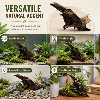 Natural Driftwood Tree Decoration for Aquarium, Fish Tank Plant Stump Ornament, Random Style(5-10cm)